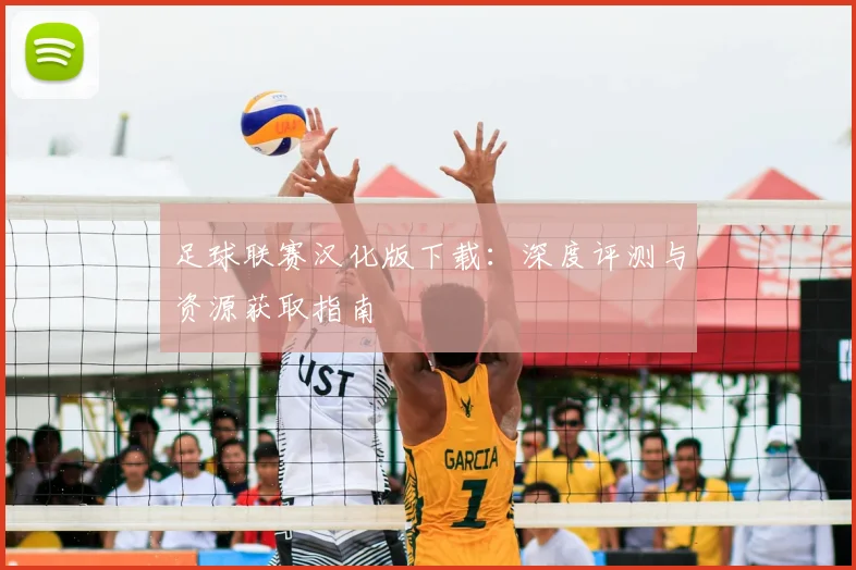 足球联赛汉化版下载：深度评测与资源获取指南